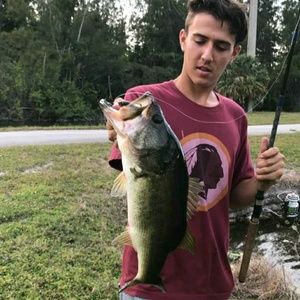 Meet your Posher, Dominic